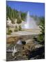 Echinus Geyser, Erupts Every Hour, Norris Basin, Yellowstone National Park, Wyoming, USA-Anthony Waltham-Mounted Photographic Print