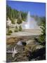 Echinus Geyser, Erupts Every Hour, Norris Basin, Yellowstone National Park, Wyoming, USA-Anthony Waltham-Mounted Photographic Print