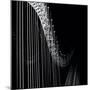 Echo (1)-Jacob Berghoef-Mounted Photographic Print