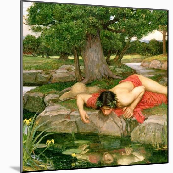 Echo and Narcissus, 1903 (Detail)-John William Waterhouse-Mounted Giclee Print