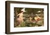 Echo and Narcissus, 1903-John William Waterhouse-Framed Giclee Print