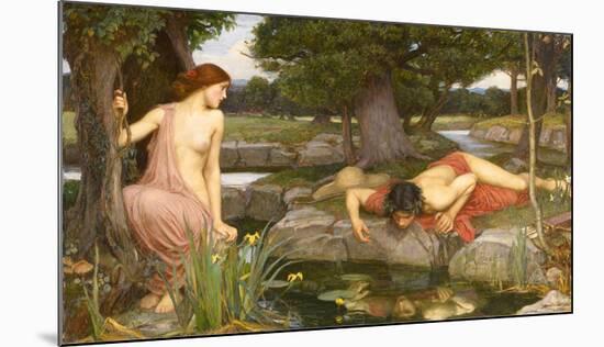 Echo and Narcissus, 1903-J^W^ Waterhouse-Mounted Art Print