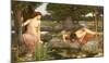 Echo and Narcissus, 1903-J^W^ Waterhouse-Mounted Art Print