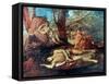 Echo And Narcissus-Nicolas Poussin-Framed Stretched Canvas