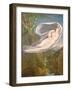 Echo Flying from Narcissus, 1795-98 (Oil on Canvas)-Guy Head-Framed Giclee Print