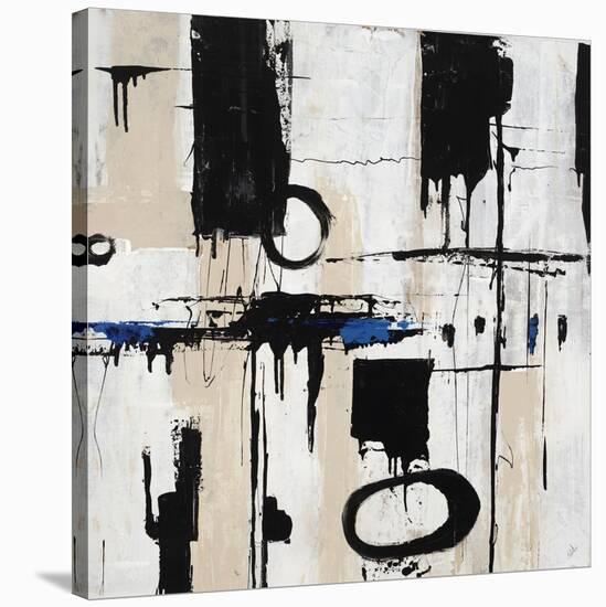 Echo II-Joshua Schicker-Stretched Canvas