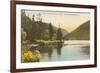 Echo Lake, Franconia Notch, New Hampshire-null-Framed Art Print