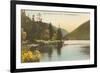 Echo Lake, Franconia Notch, New Hampshire-null-Framed Art Print