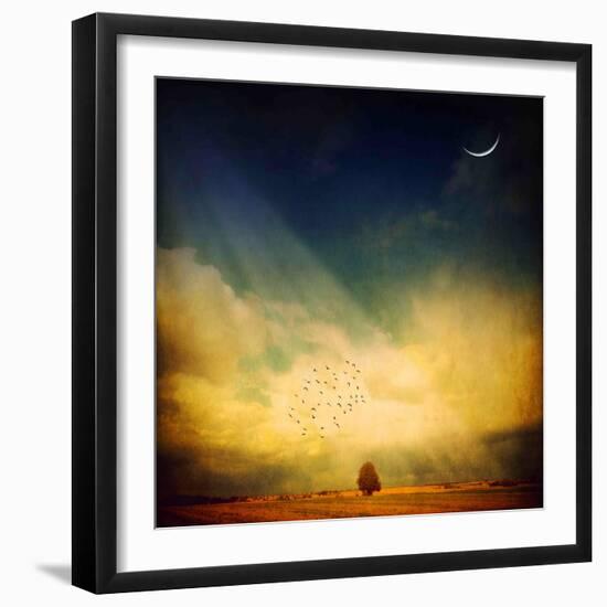 Echo of a Sigh-Philippe Sainte-Laudy-Framed Photographic Print