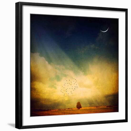 Echo of a Sigh-Philippe Sainte-Laudy-Framed Photographic Print