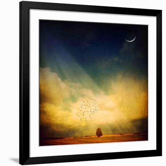 Echo of a Sigh-Philippe Sainte-Laudy-Framed Photographic Print