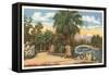 Echo Park, Los Angeles, California-null-Framed Stretched Canvas