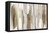 Echoes-Jackie Hanson-Framed Stretched Canvas