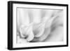 Echoing-Janet Slater-Framed Photographic Print