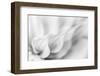 Echoing-Janet Slater-Framed Photographic Print