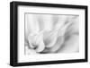 Echoing-Janet Slater-Framed Photographic Print