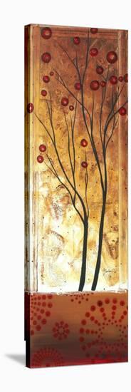 Eclectic Dream-Megan Aroon Duncanson-Stretched Canvas