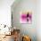 Eclectic Girl (pink)-Puntoos-Art Print displayed on a wall