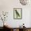 Eclectus Parrot-Georges-Louis Buffon-Framed Stretched Canvas displayed on a wall