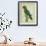 Eclectus Parrot-Georges-Louis Buffon-Framed Giclee Print displayed on a wall