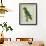 Eclectus Parrot-Georges-Louis Buffon-Framed Giclee Print displayed on a wall