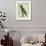 Eclectus Parrot-Georges-Louis Buffon-Framed Giclee Print displayed on a wall