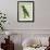 Eclectus Parrot-Georges-Louis Buffon-Framed Giclee Print displayed on a wall