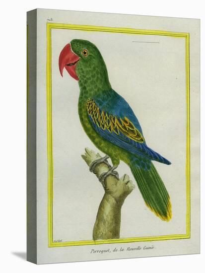 Eclectus Parrot-Georges-Louis Buffon-Stretched Canvas