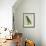 Eclectus Parrot-Georges-Louis Buffon-Framed Giclee Print displayed on a wall