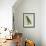 Eclectus Parrot-Georges-Louis Buffon-Framed Giclee Print displayed on a wall