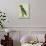 Eclectus Parrot-Georges-Louis Buffon-Stretched Canvas displayed on a wall