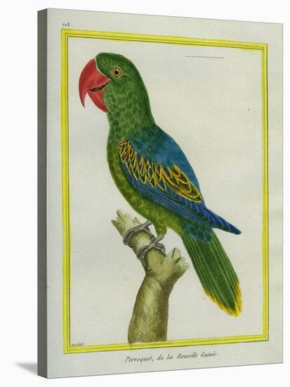 Eclectus Parrot-Georges-Louis Buffon-Stretched Canvas