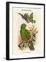 Eclectus Polychlorus - Green Lory-John Gould-Framed Art Print