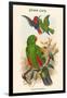 Eclectus Polychlorus - Green Lory-John Gould-Framed Art Print