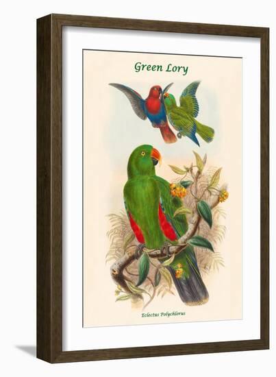 Eclectus Polychlorus - Green Lory-John Gould-Framed Art Print