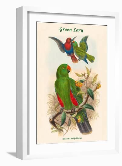 Eclectus Polychlorus - Green Lory-John Gould-Framed Art Print