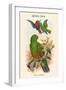 Eclectus Polychlorus - Green Lory-John Gould-Framed Art Print