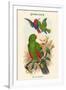 Eclectus Polychlorus - Green Lory-John Gould-Framed Art Print