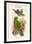 Eclectus Polychlorus - Green Lory-John Gould-Framed Art Print