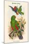 Eclectus Polychlorus - Green Lory-John Gould-Mounted Art Print