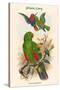 Eclectus Polychlorus - Green Lory-John Gould-Stretched Canvas