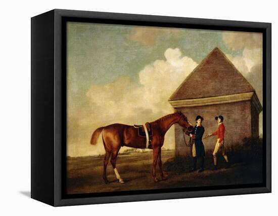 Eclipse', a Dark Chestnut Racehorse, by the Rubbing Down House at Newmarket-George Stubbs-Framed Stretched Canvas