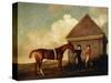 Eclipse', a Dark Chestnut Racehorse, by the Rubbing Down House at Newmarket-George Stubbs-Stretched Canvas