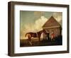 Eclipse', a Dark Chestnut Racehorse, by the Rubbing Down House at Newmarket-George Stubbs-Framed Giclee Print