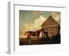 Eclipse', a Dark Chestnut Racehorse, by the Rubbing Down House at Newmarket-George Stubbs-Framed Giclee Print