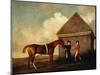 Eclipse', a Dark Chestnut Racehorse, by the Rubbing Down House at Newmarket-George Stubbs-Mounted Giclee Print