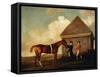 Eclipse', a Dark Chestnut Racehorse Held by a Groom, with a Jockey, Possibly Jack Oakley, by the…-George Stubbs-Framed Stretched Canvas