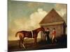 Eclipse', a Dark Chestnut Racehorse Held by a Groom, with a Jockey, Possibly Jack Oakley, by the…-George Stubbs-Mounted Giclee Print