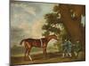 Eclipse, C18th Century, (1902)-George Stubbs-Mounted Giclee Print