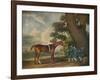 'Eclipse', c18th century-George Stubbs-Framed Giclee Print